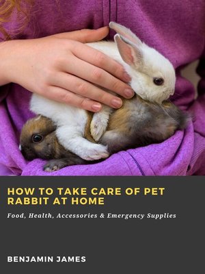 cover image of How to Take Care of Pet Rabbit at Home
